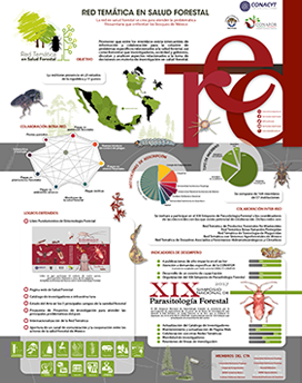 Cartel Segundo Año Red